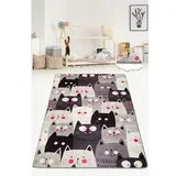 holni tepih 80x150 cats siva djt