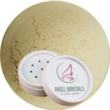 ANGEL MINERALS intense Concealer - Citrin Cijene