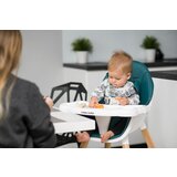 CARETERO Stol za hranjenje Tuva 2V1Temno zelena iks | Shoptok.si