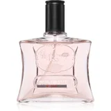 Musk toaletna voda uniseks 100 ml