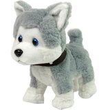  Plush Dog Interactive Educational Leash Songs Walks | shoptok.hr