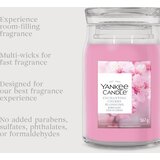 Yankee Candle Enchanting Cherry Blossom dišeča sveča 567 g | Shoptok.si