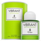 Emir Vibrant Vetiver Delight parfumirana voda unisex 100 ml | Shoptok.si