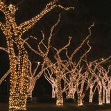 Olimp Sport Novogodišnje lampice LED za spoljnu i unutrašnju upotrebu 50 sijalica toplo bela | ePonuda.com