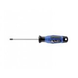 SKG ODVIJAČ - TORX SA RUPOMT 25 4,5X100MM | Eponuda.ba