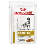 Royal Canin veterinarska dijeta dog urinary s/o 12x100g Cene
