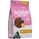 Kitten s piletinom - 1,5 kg