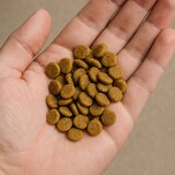 Monge Sterilised Cat piletina – hrana za mačke na meru (ZIP) | ePonuda.com