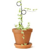Botanopia Pomoč pri plezanju "Mini Plant Stake" - Perch | Shoptok.si