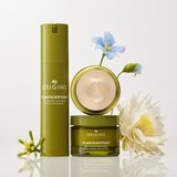Origins Plantscription™ Triple Action Youth Cream - 50 ml | Shoptok.si