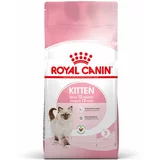 Royal_Canin Kitten - 4 kg