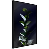 Poster - Floral Elegance 20x30 Cijene