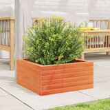  Vrtna sadilica voštano smeđa 50 x 50 x 23 cm masivna borovina | shoptok.hr