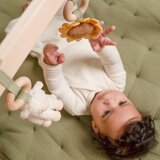 Little dutch lesen igralni lok little farm | Shoptok.si