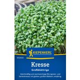 KIEPENKERL Gladka kreša - 1 pkt. Cene