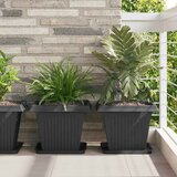  Saksije za biljke 24 pcs Crna 38 x 38 x 30 cm Plastika | shoptok.hr