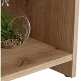 Based Mizica Luca, Barva Hrasta | Shoptok.si