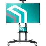 TV stojalo TS1571-G max 60kg, (5000507506)