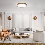 Aigostar plafonsko LED svetlo 12W/230V 6500K prečnik 26,3 cm | Eponuda.com
