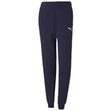 Puma Teamgoal 23 Casuals Pants JR Crna