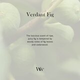 WoodWick Verdant Fig dišeča sveča z lesenim stenjem 610 g | Shoptok.si