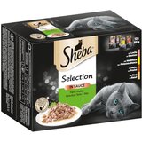 Sheba 96 x 85 g različice v vrečkah po ugodni ceni - Selection in Sauce fina raznolikost Cene