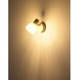 Globo 54317-1 - zidno spot svetlo planta 1xE14/40W/230V | Eponuda.com