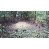 OXE Lovska kamera Viper in klasični daljnogled FOMEI 7-21X40 ZCF Zoom + 32GB SD kartica, 4 baterije in stojalo! | Shoptok.si