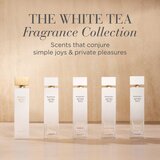 Elizabeth Arden White Tea parfumska voda 30 ml za ženske | Shoptok.si