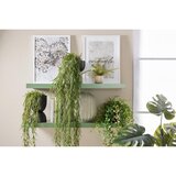 Mömax stenska polica anja, zelena, 80 cm | Shoptok.si