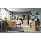 Modern Living Vitrina Summer, Barva Hrasta | Shoptok.si