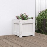  Vrtna sadilica bijela 31 x 31 x 31 cm od masivne borovine | shoptok.hr