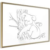  Poster - Resting Koala 30x20 Cijene