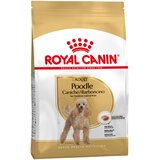 Royal Canin Poodle Adult - 7.5 kg | shoptok.hr