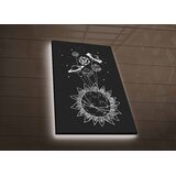 Wallity Zidna slika sa LED rasvjetom NASA-044, 45x70 cm | Eponuda.ba