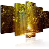  Slika - Forest in the Sunlight 100x50 Cijene