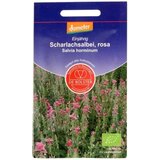 De Bolster Čudovit roza žajbelj | Shoptok.si