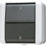 Jung Rocker stikalo izklopljeno 2-polno 802 W, (20859356) | Shoptok.si