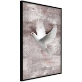  Poster - White Dreams 20x30 Cijene