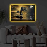Wallity 4570KTLGDACT - 016 multicolor decorative led lighted canvas painting | ePonuda.com