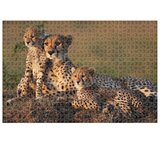 Puzzle 1000 KOM ANIMAL PLANET CHEETAH DIAKAKIS 000570697 | shoptok.hr