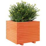  Vrtna sadilica voštano smeđe boje 60x60x49,5 cm od borovine | Eponuda.com