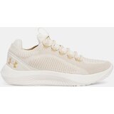 Under Armour Men's shoes UA Dynamic 2 - Men's | shoptok.hr