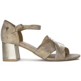 Maciejka 0654904005 Gold | shoptok.hr
