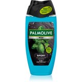 Palmolive Men Revitalising Sport gel za prhanje za moške 2 v 1 250 ml Cene