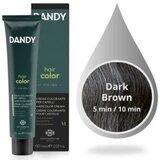 Boja za kosu Muška Dandy 60 ml – 3 Dark Brown | Eponuda.ba