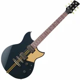 Yamaha RSP20X rusty burst charcoal