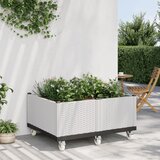  Cvetlično korito s kolesi belo 150x80x54 cm PP | Shoptok.si
