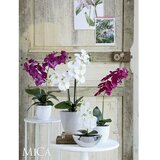  Umetna roža (Višina: 60 cm, Barva cveta: Kremna, Zelene barve) | Shoptok.si