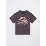 Sinsay Predimenzionirana majica kratkih rukava Jurassic Park | shoptok.hr